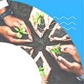 featured image icon for sustainability into practice programs